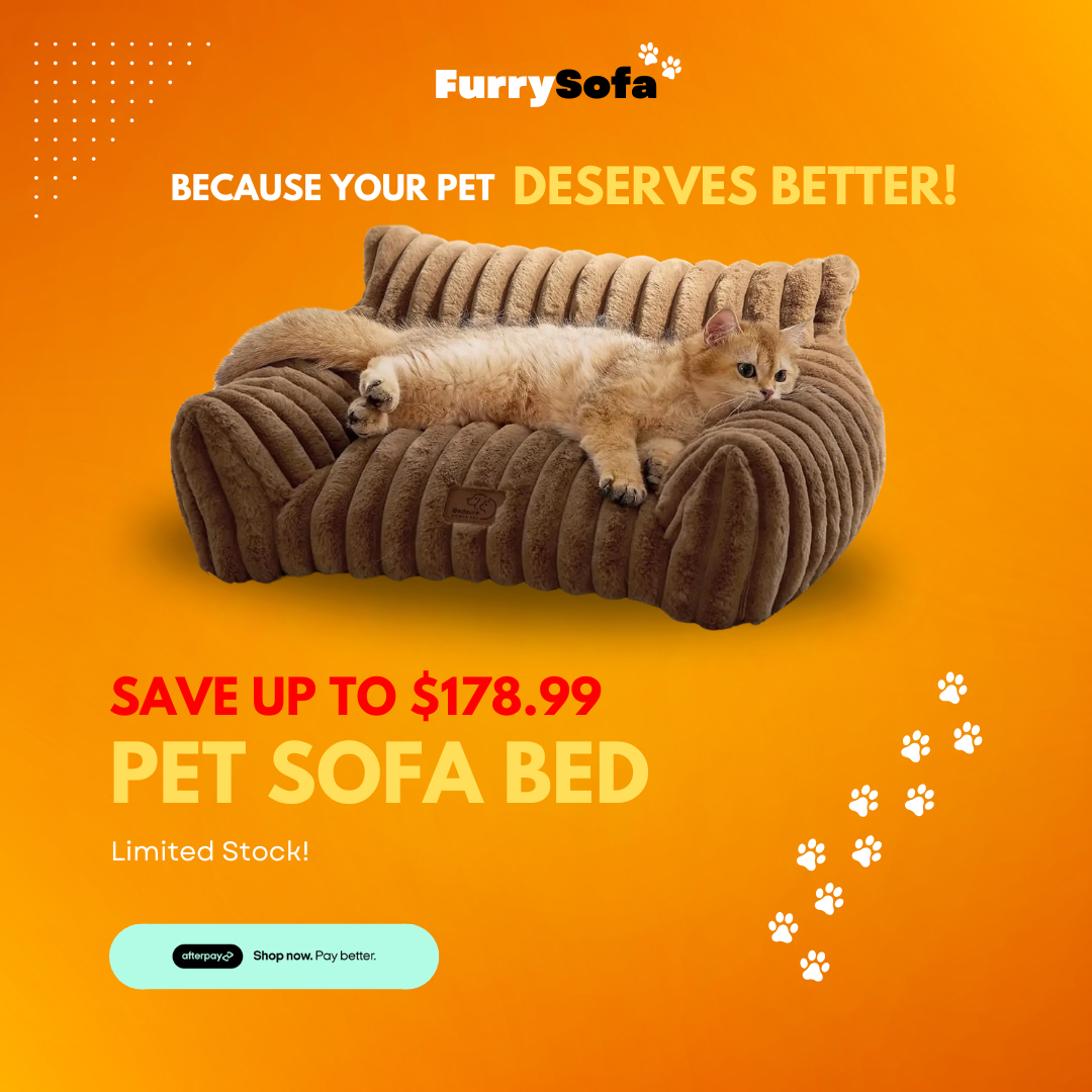 FurrySofa - Pet Bed